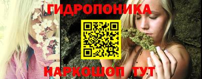 гидропоника Гусев