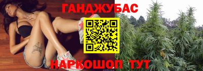 гидра Гусиноозёрск