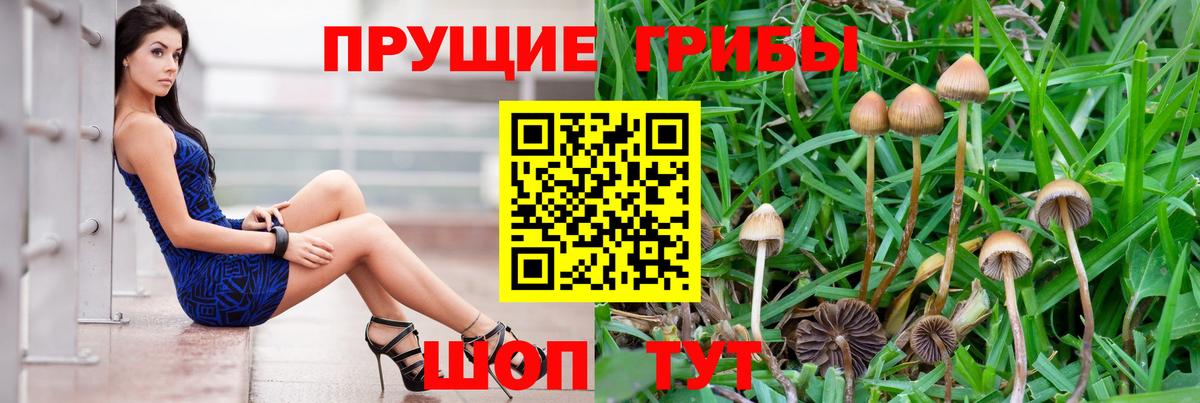 Псилоцибиновые грибы ЛСД  закладка  Лесной  Вход с VPN 